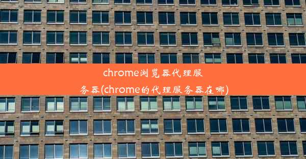 chrome浏览器代理服务器(chrome的代理服务器在哪)