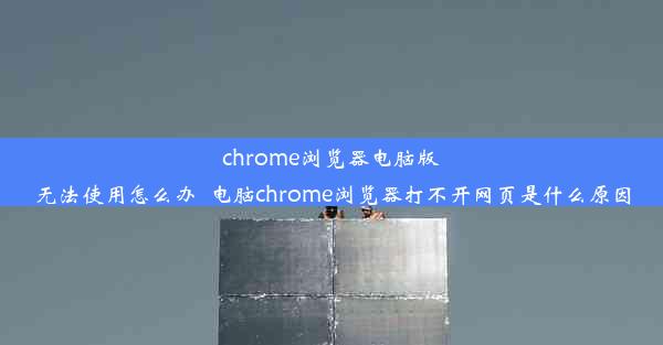 chrome浏览器电脑版无法使用怎么办_电脑chrome浏览器打不开网页是什么原因