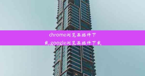 chrome浏览器插件下载,google浏览器插件下载