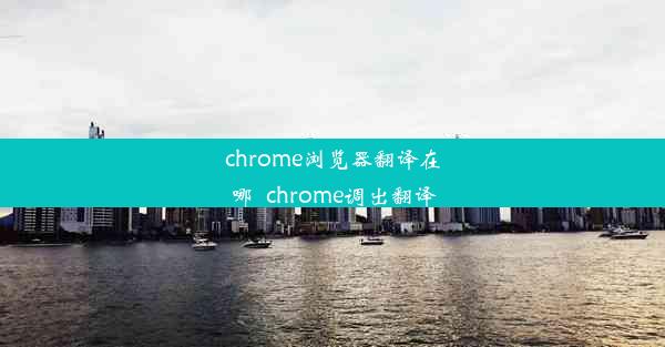 chrome浏览器翻译在哪_chrome调出翻译