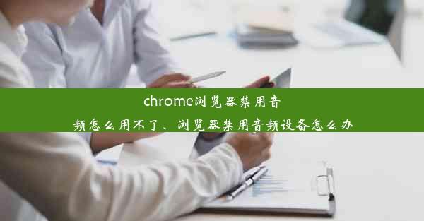 chrome浏览器禁用音频怎么用不了、浏览器禁用音频设备怎么办