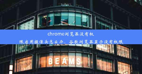 chrome浏览器没有权限启用摄像头怎么办、谷歌浏览器显示没有权限