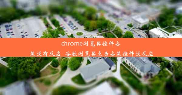 chrome浏览器控件安装没有反应_谷歌浏览器点击安装控件没反应