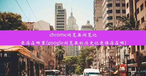 chrome浏览器浏览记录存在哪里(google浏览器的历史记录保存在哪)