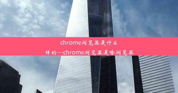 chrome浏览器是什么样的—chrome浏览器是啥浏览器