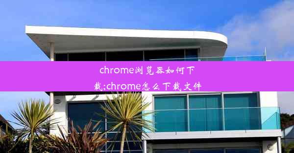 chrome浏览器如何下载;chrome怎么下载文件