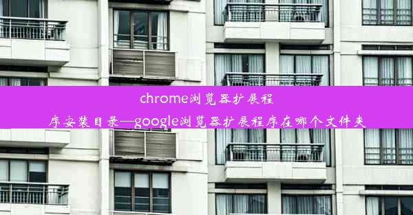 chrome浏览器扩展程序安装目录—google浏览器扩展程序在哪个文件夹