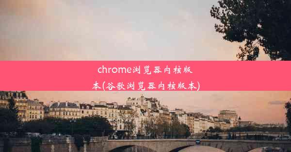 chrome浏览器内核版本(谷歌浏览器内核版本)