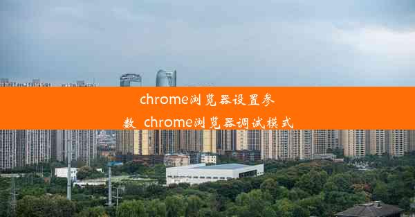 chrome浏览器设置参数_chrome浏览器调试模式