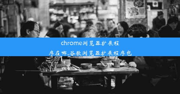 chrome浏览器扩展程序在哪,谷歌浏览器扩展程序包