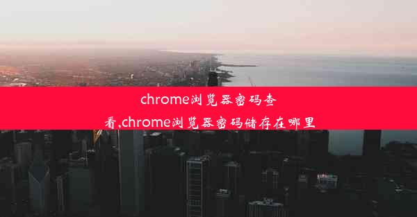 chrome浏览器密码查看,chrome浏览器密码储存在哪里