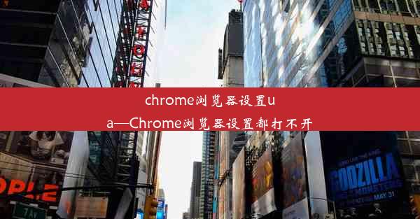 chrome浏览器设置ua—Chrome浏览器设置都打不开