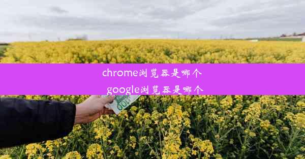 chrome浏览器是哪个_google浏览器是哪个