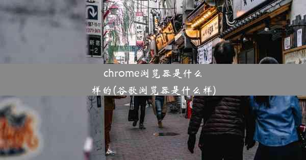 chrome浏览器是什么样的(谷歌浏览器是什么样)