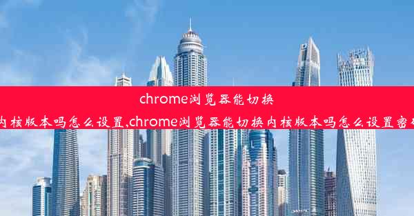 chrome浏览器能切换内核版本吗怎么设置,chrome浏览器能切换内核版本吗怎么设置密码