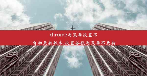 chrome浏览器设置不自动更新版本,设置谷歌浏览器不更新