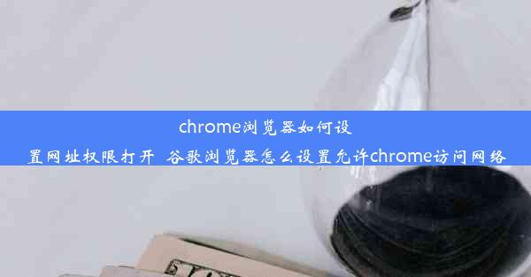 chrome浏览器如何设置网址权限打开_谷歌浏览器怎么设置允许chrome访问网络