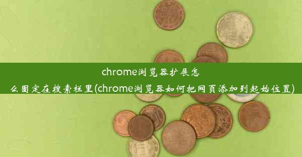 chrome浏览器扩展怎么固定在搜索栏里(chrome浏览器如何把网页添加到起始位置)