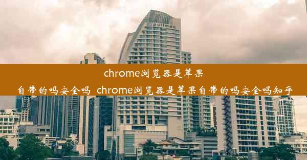 chrome浏览器是苹果自带的吗安全吗_chrome浏览器是苹果自带的吗安全吗知乎