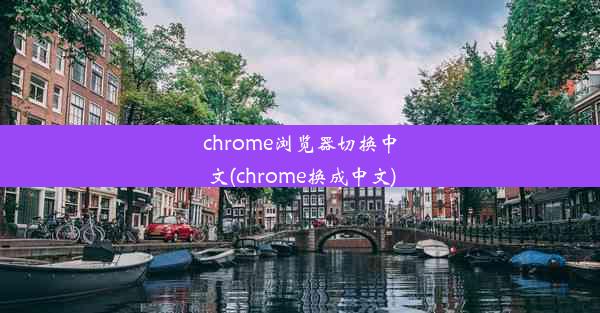 chrome浏览器切换中文(chrome换成中文)