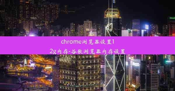 chrome浏览器设置12g内存-谷歌浏览器内存设置