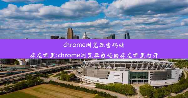 chrome浏览器密码储存在哪里;chrome浏览器密码储存在哪里打开