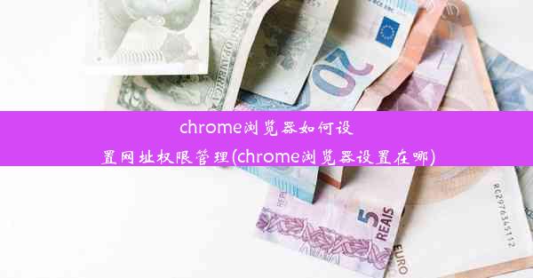 chrome浏览器如何设置网址权限管理(chrome浏览器设置在哪)