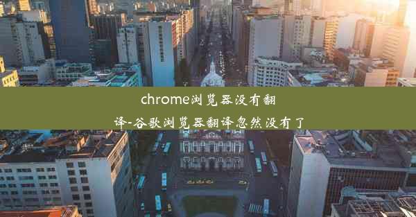 chrome浏览器没有翻译-谷歌浏览器翻译忽然没有了