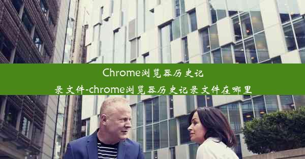 Chrome浏览器历史记录文件-chrome浏览器历史记录文件在哪里