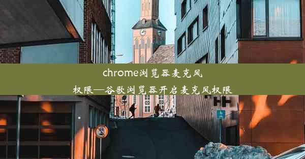 chrome浏览器麦克风权限—谷歌浏览器开启麦克风权限