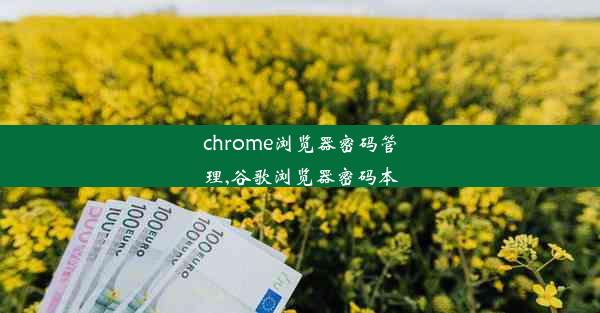 chrome浏览器密码管理,谷歌浏览器密码本