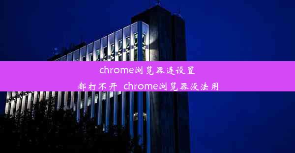 chrome浏览器连设置都打不开_chrome浏览器没法用