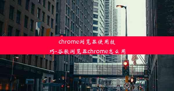 chrome浏览器使用技巧-谷歌浏览器chrome怎么用