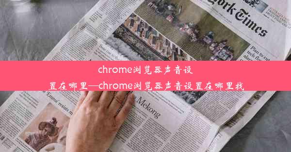 chrome浏览器声音设置在哪里—chrome浏览器声音设置在哪里找