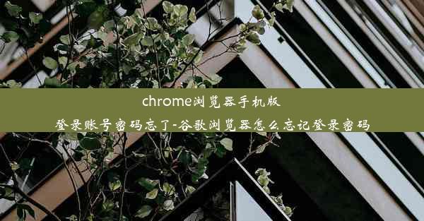 chrome浏览器手机版登录账号密码忘了-谷歌浏览器怎么忘记登录密码