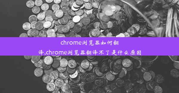 chrome浏览器如何翻译,chrome浏览器翻译不了是什么原因