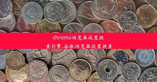 chrome浏览器设置搜索引擎,谷歌浏览器设置搜索