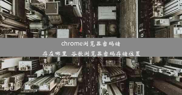 chrome浏览器密码储存在哪里_谷歌浏览器密码存储位置