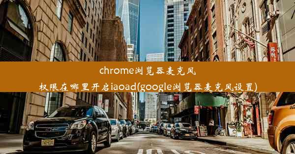 chrome浏览器麦克风权限在哪里开启iaoad(google浏览器麦克风设置)