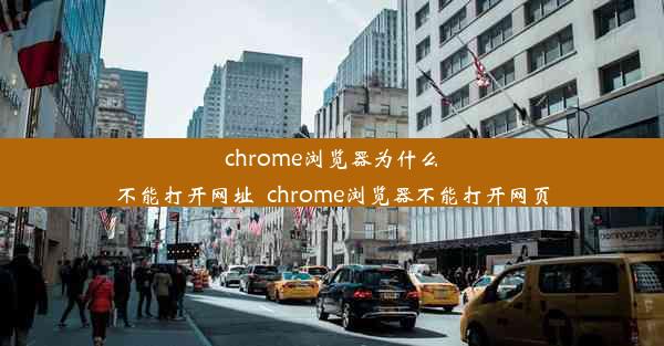 chrome浏览器为什么不能打开网址_chrome浏览器不能打开网页