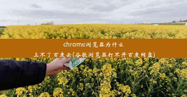 chrome浏览器为什么上不了百度云(谷歌浏览器打不开百度网盘)