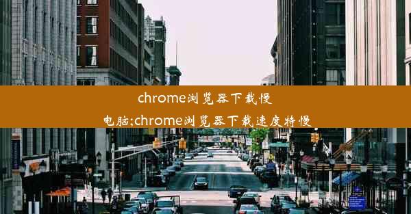 chrome浏览器下载慢电脑;chrome浏览器下载速度特慢