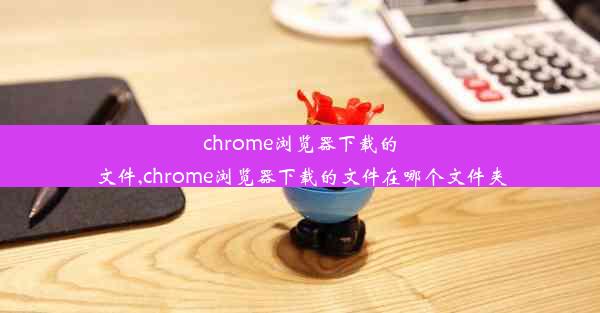 chrome浏览器下载的文件,chrome浏览器下载的文件在哪个文件夹