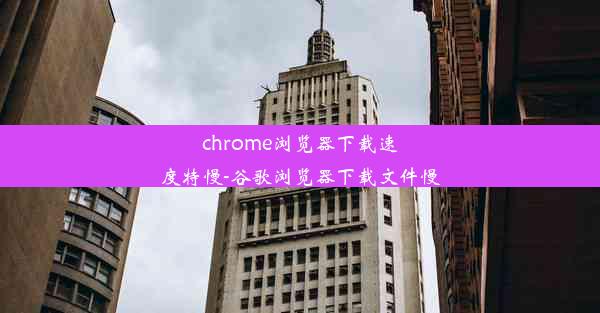 chrome浏览器下载速度特慢-谷歌浏览器下载文件慢