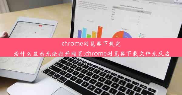 chrome浏览器下载完为什么显示无法打开网页;chrome浏览器下载文件无反应