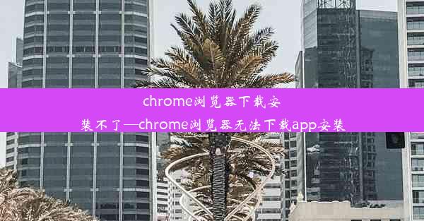 chrome浏览器下载安装不了—chrome浏览器无法下载app安装