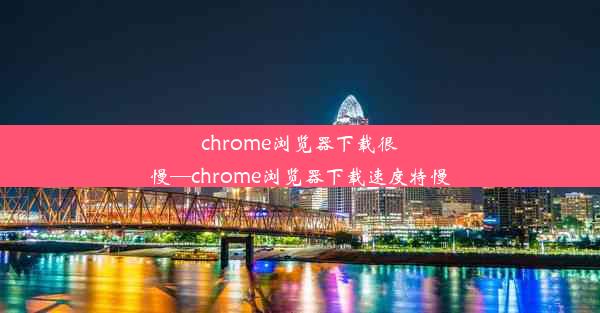 chrome浏览器下载很慢—chrome浏览器下载速度特慢