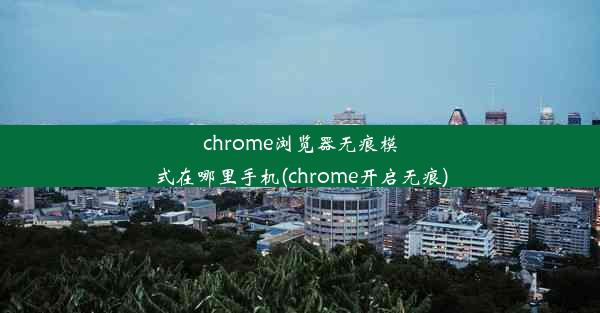 chrome浏览器无痕模式在哪里手机(chrome开启无痕)