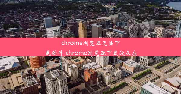 chrome浏览器无法下载软件-chrome浏览器下载没反应