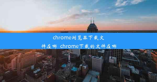 chrome浏览器下载文件在哪_chrome下载的文件在哪